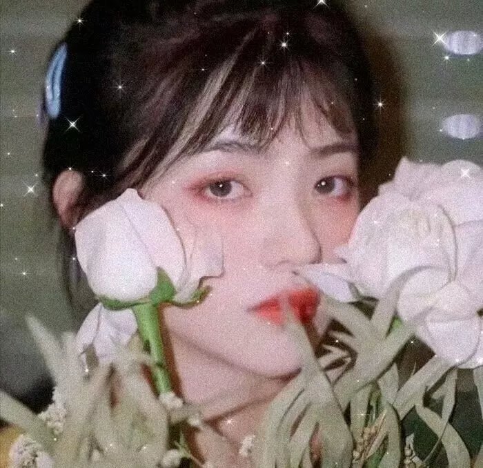 花心大少满堂春